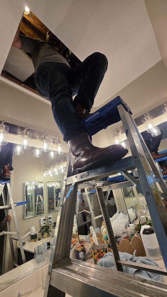 Ceiling and interior repairs